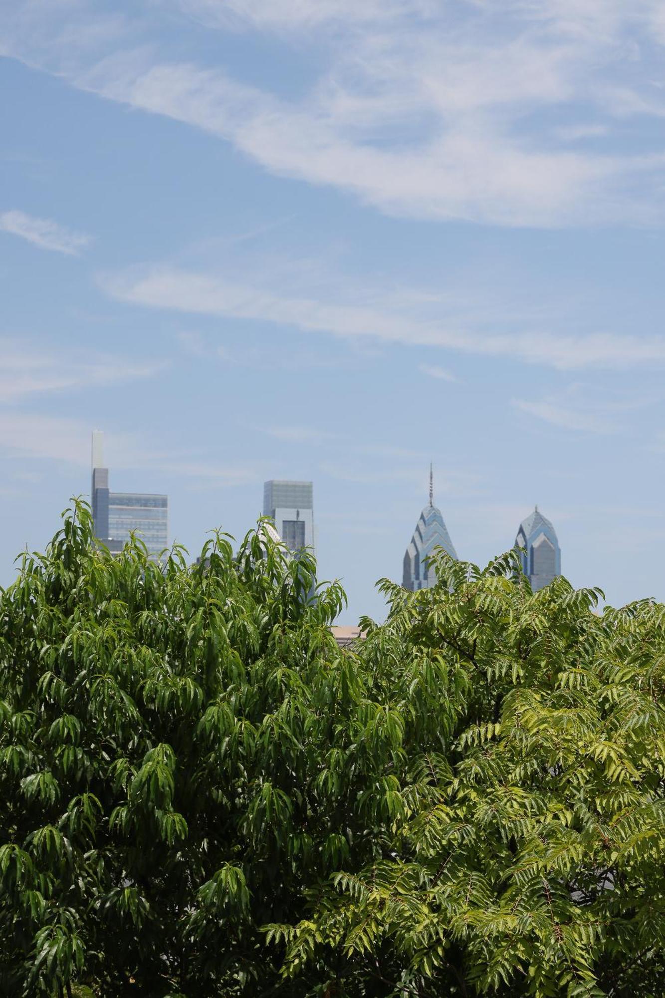 Peaceful Zen Getaway In The City Philadelphia Eksteriør bilde
